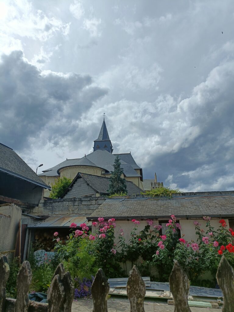 villages Montsoreau et Candes Saint Martin